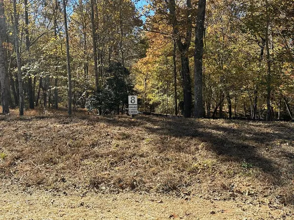 8 Clear Creek Valley, Ellijay, GA 30540