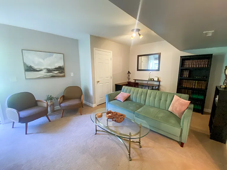 Basement living room