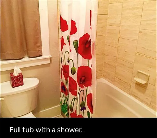 1524 Euterpe St #E — Photo 16