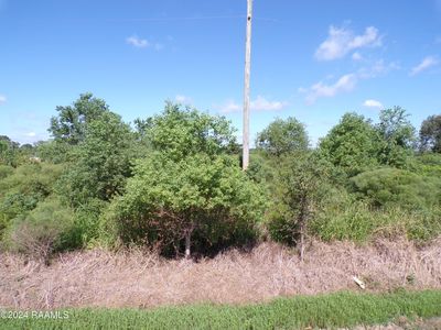 1292 Pierre Matte Rd, Branch, LA, 70516