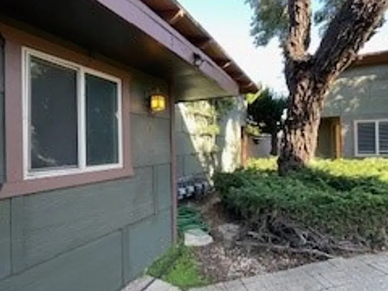 481 Hillview St — Photo 18