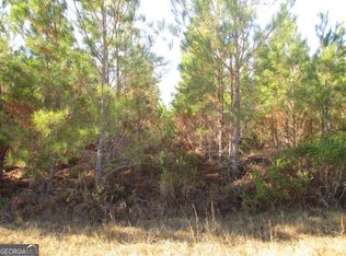 0088-003A Pine Level Church Rd, Hazlehurst, GA 31539