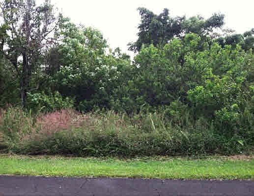 1st image of Kamelewai St Lot 50