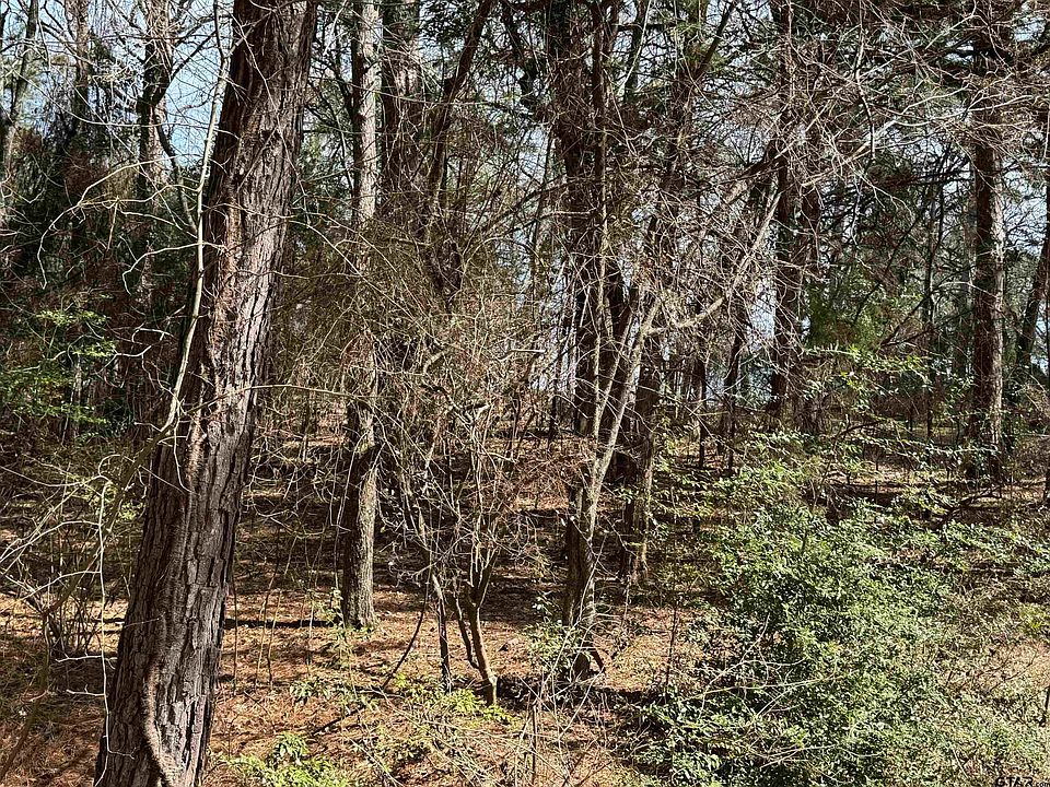 1st image of 393 Christine Dr