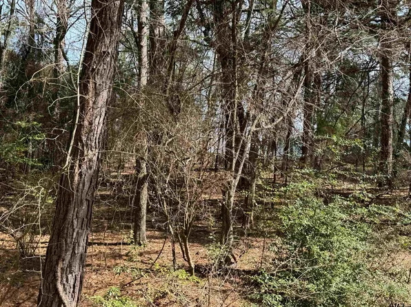 393 Christine Dr, Bullard, TX 75757