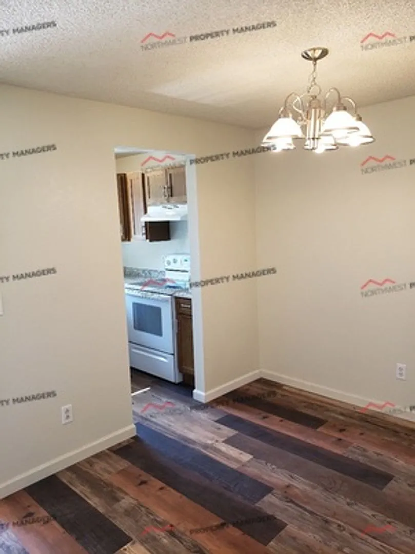 r229 — Photo 4