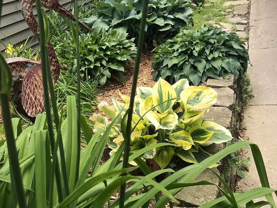 Landscaping outside apartment door.