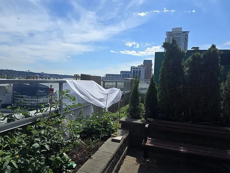 14 Begbie St #301 — Photo 24