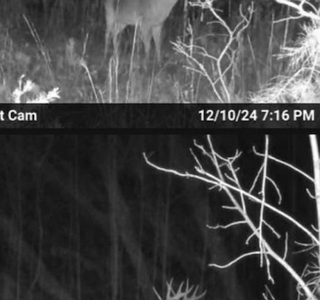 3rd image of Licklog Hollow Rd Lot Wp003