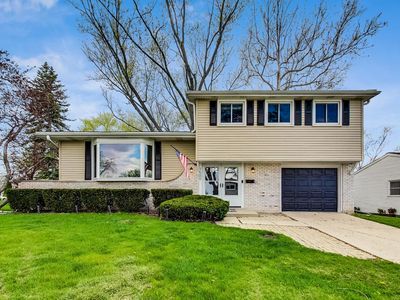 1509 W Lexington Dr, Arlington Heights, IL, 60004