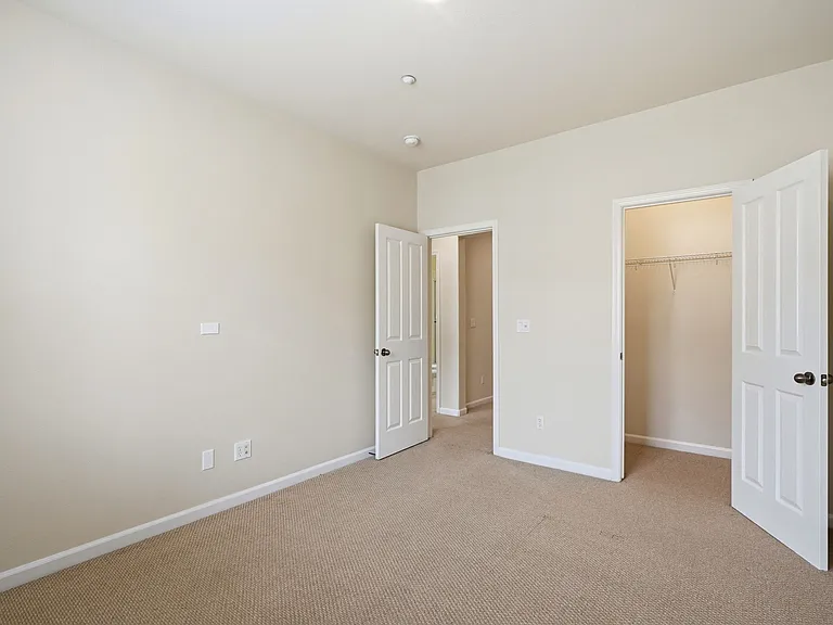 5206 Fioli Loop — Photo 19