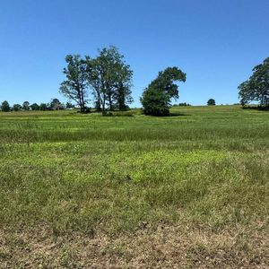 0 Highway 92, Bee Branch, AR, 72013