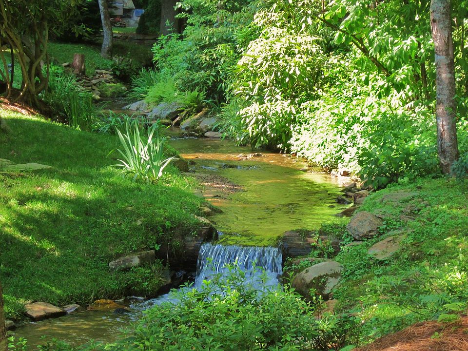 Our view of the creek