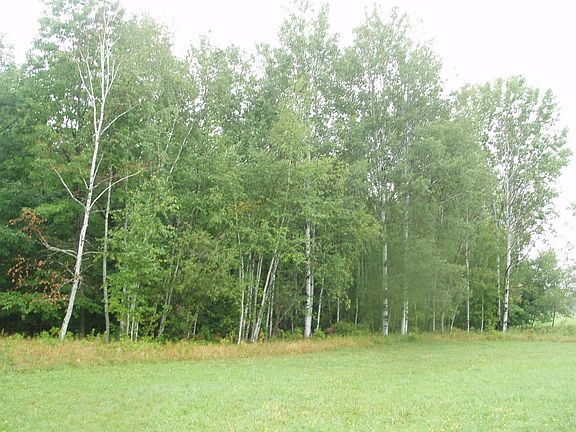 2nd image of 40285 Kleinsteiber Road