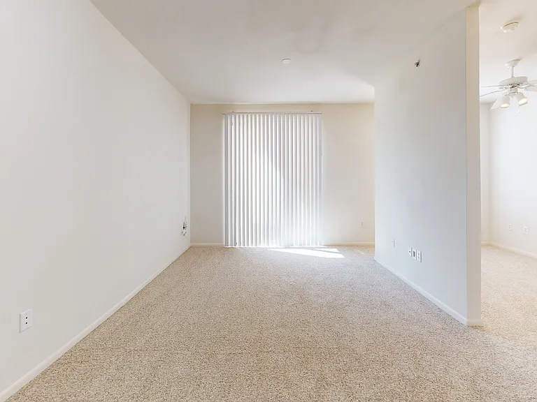 Residences at the Domain — Photo 57