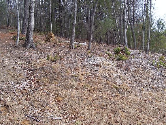 3rd image of Lot 16 Turkey Trail McGrady Nc