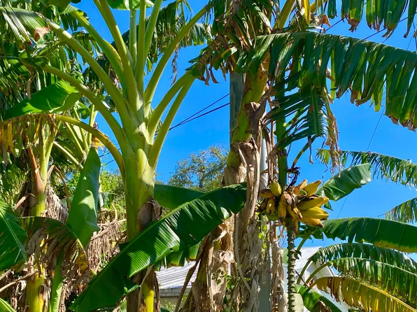28177 Julia Ave, Little Torch Key, FL 33042