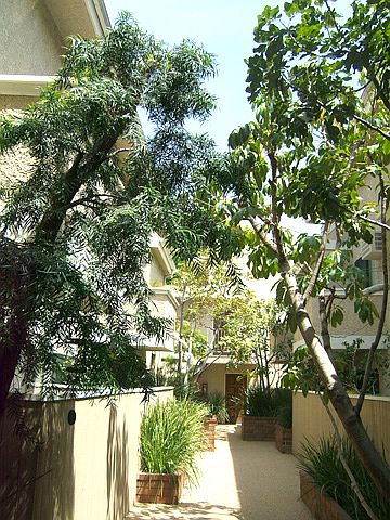 2nd image of 3760 S Bentley Ave APT 206