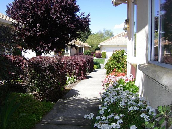 The view from the front door looking out toward the street. Serenity is the operative word.