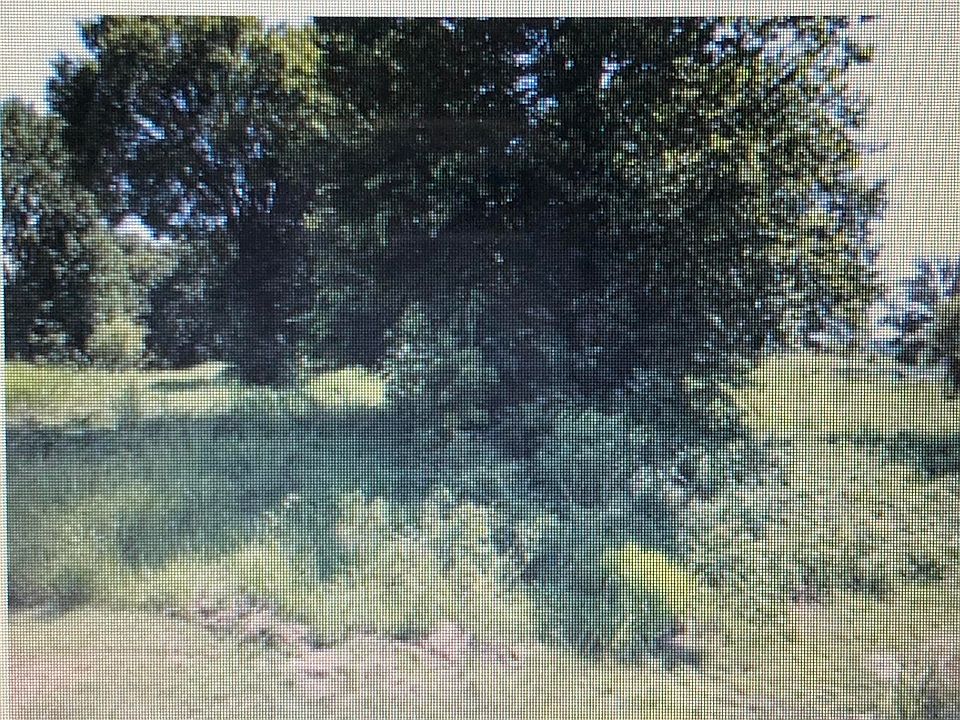 2nd image of Wire Rd