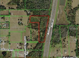 29603 Hadlock Dr, Wesley Chapel, FL 33544