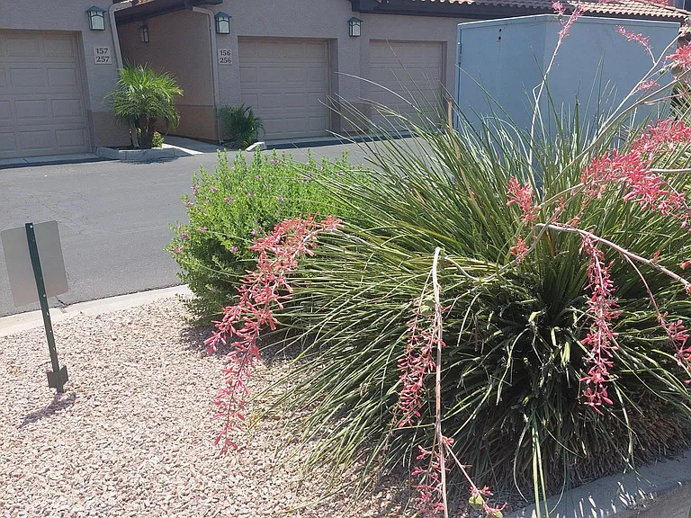 6535 E Superstition Springs Blvd #156 — Photo 22