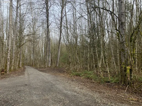 NE 84th Ave, Battle Ground, WA 98604