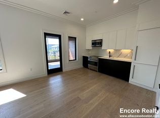 52 Leo M Birmingham Pkwy #32, Brighton, MA 02135