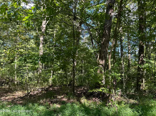 19 Clarktown Rd, New Haven, KY 40051