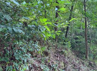 LOT 77 Fires Creek Rd, Hayesville, NC 28904