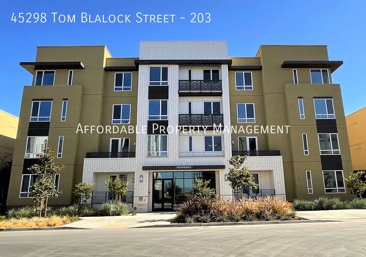 45298 Tom Blalock Street #203, Fremont, CA 94539 — Photo 1