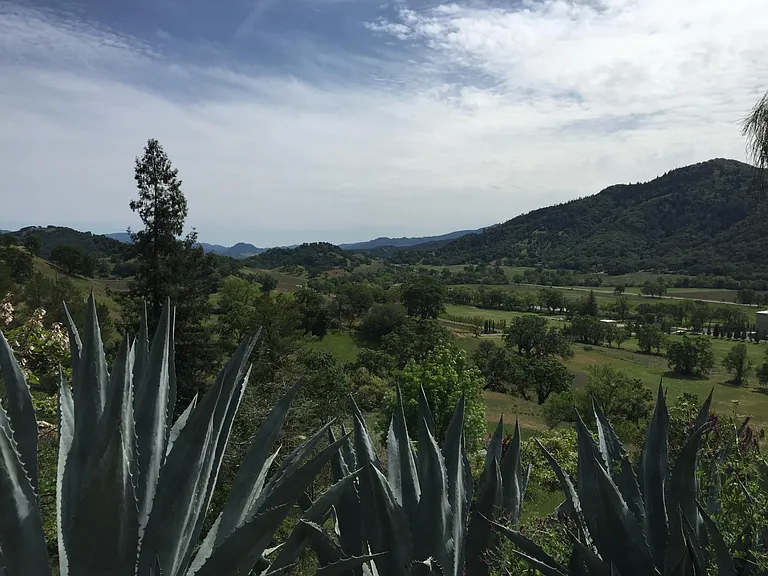 800 Sanel Dr — Photo 15