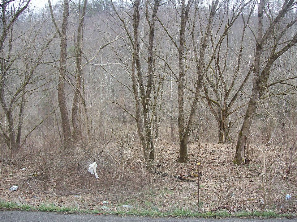 1st image of 399 Panther Creek Road