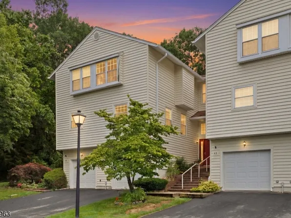 45 Rhea Run, Hampton Twp., NJ 07860