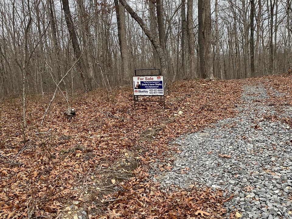 2nd image of 11 Green Rd