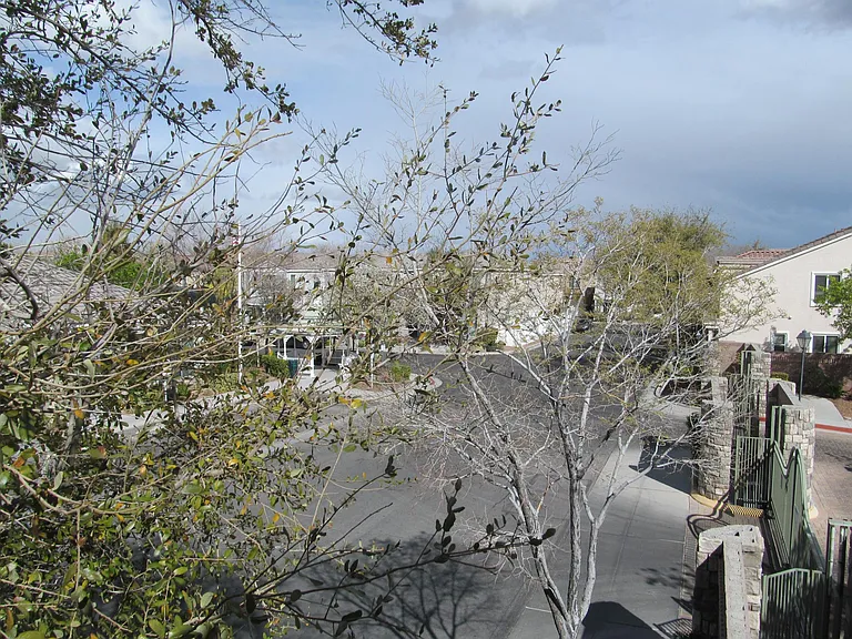 6167 Broken Slate Way — Photo 17