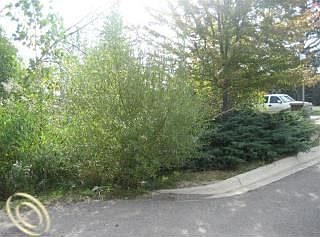 1st image of 3930 Mitra Ct