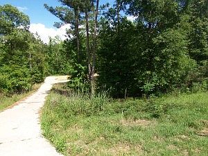 2nd image of 56 Winding Brook Dr