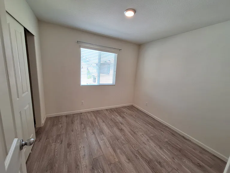 Alboran Sea Cir — Photo 15
