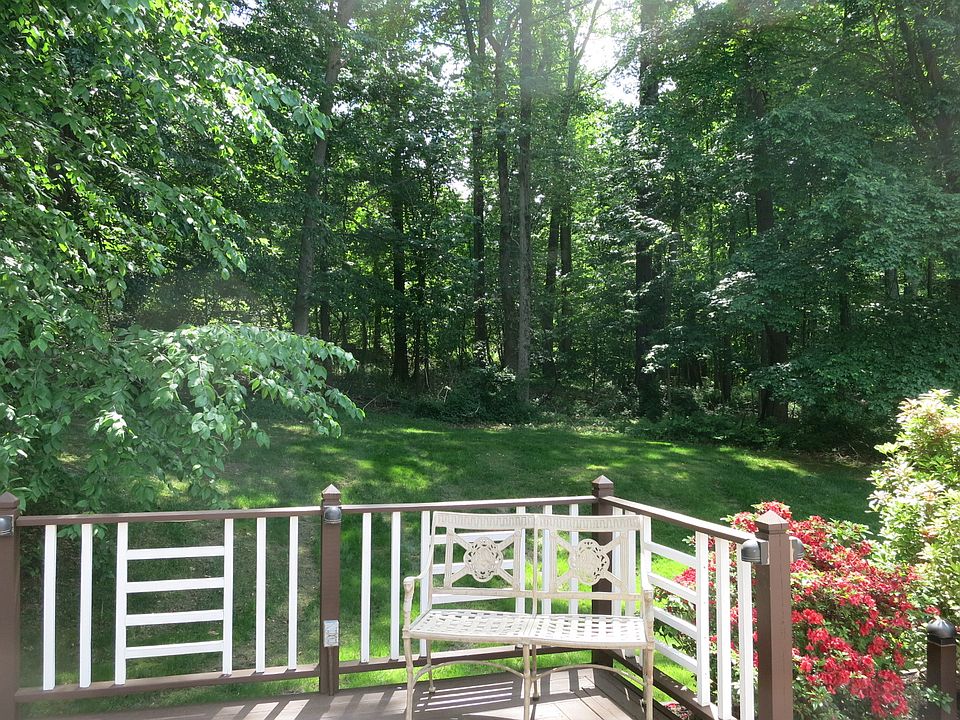 View From Deck