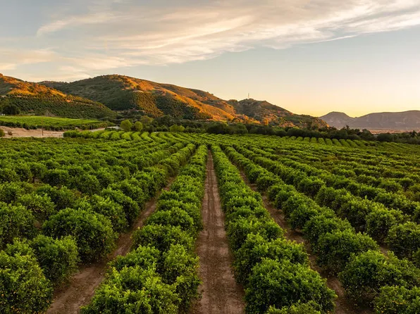 0 Goodenough Rd, Fillmore, CA 93015