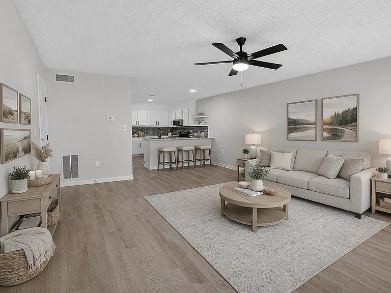 Open concept living rooms