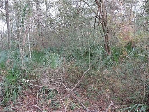 3rd image of 7605 Lake Creek Cir
