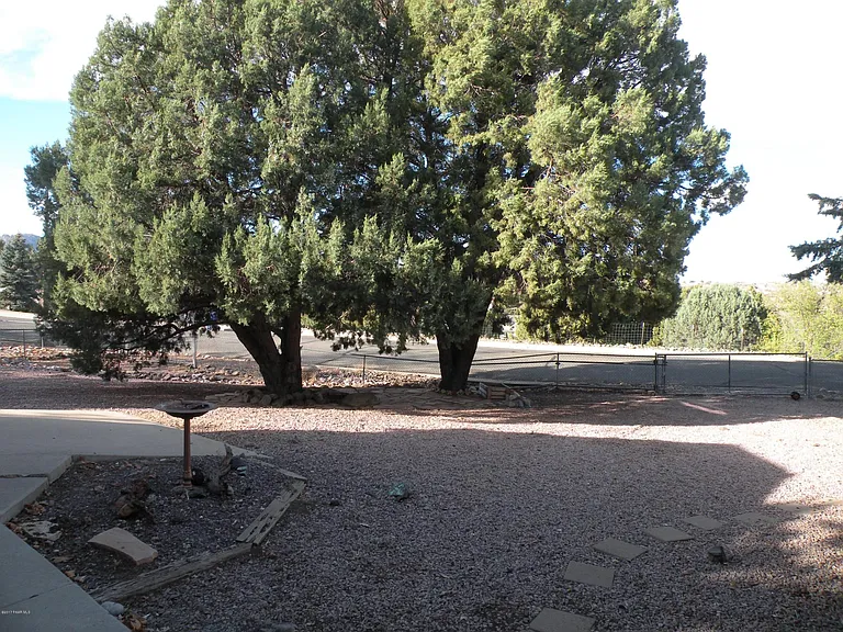 Fenced in back yard. Remote patio and lounge area.