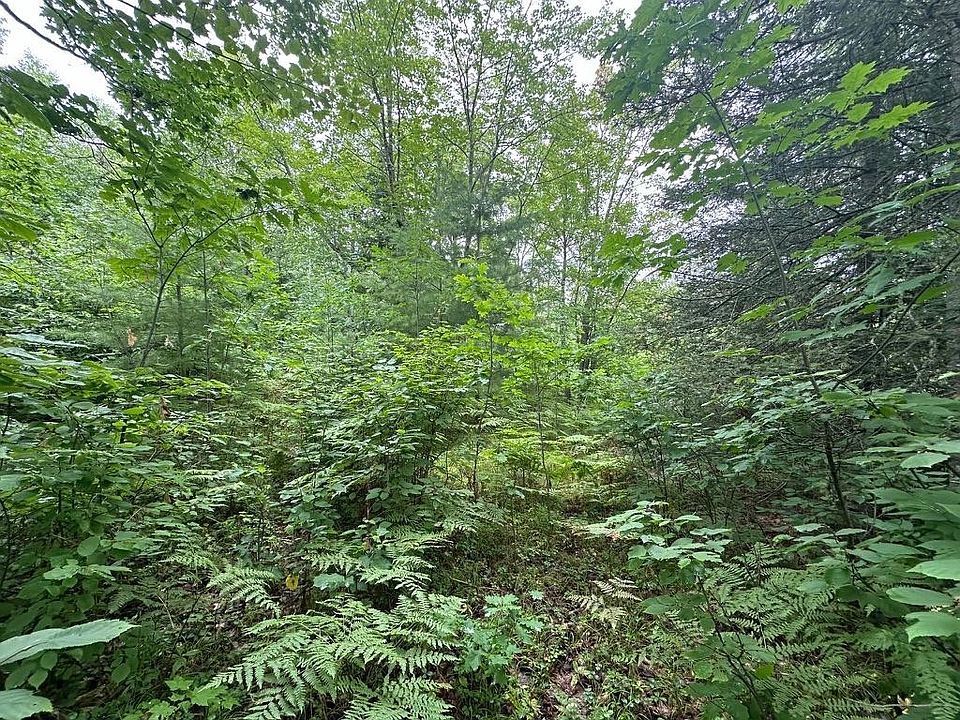 2nd image of LOT 7 Cth B