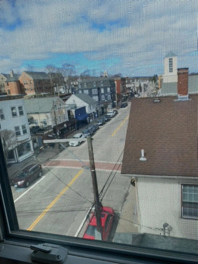 2 bed, 1000 sqft, $1,900 — Photo 2