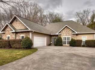 46 Lindsey Ln, Blue Ridge, GA 30513