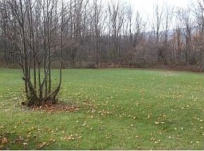 big back yard