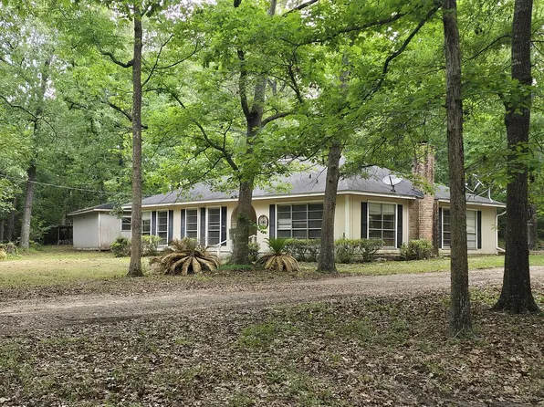 910 Ragsdale Springs Rd, Shepherd, TX 77371