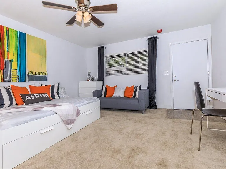Treehouse Apartments — Photo 4